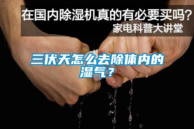 三伏天怎么去除體內的濕氣？