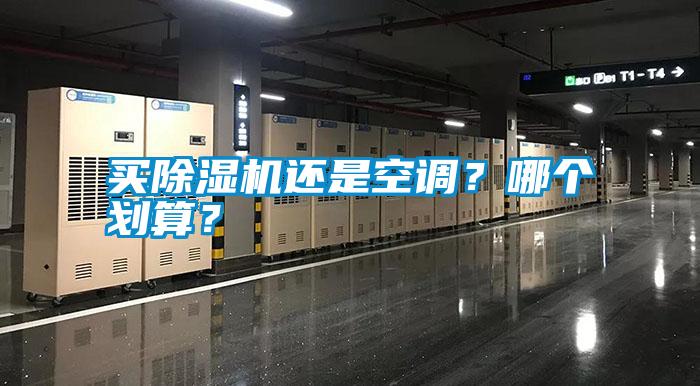 買除濕機還是空調？哪個劃算？