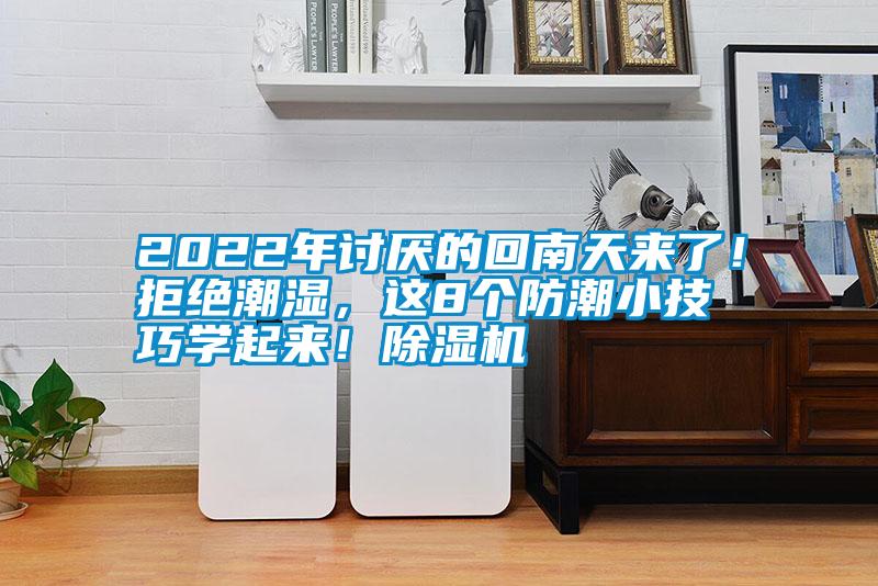 2022年討厭的回南天來了！拒絕潮濕，這8個防潮小技巧學起來！除濕機