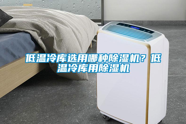低溫冷庫選用哪種除濕機？低溫冷庫用除濕機