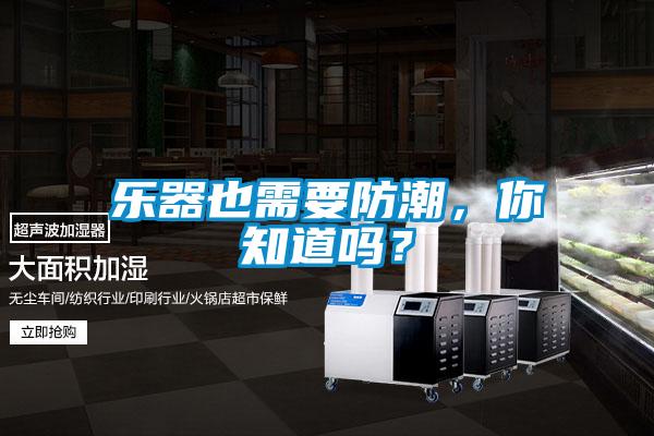 樂(lè)器也需要防潮，你知道嗎？