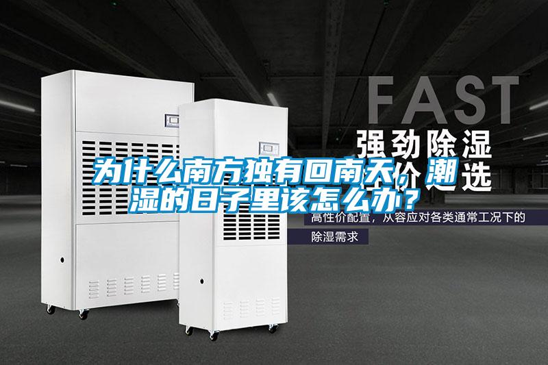 為什么南方獨有回南天，潮濕的日子里該怎么辦？