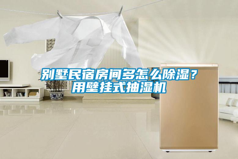 別墅民宿房間多怎么除濕?用壁掛式抽濕機