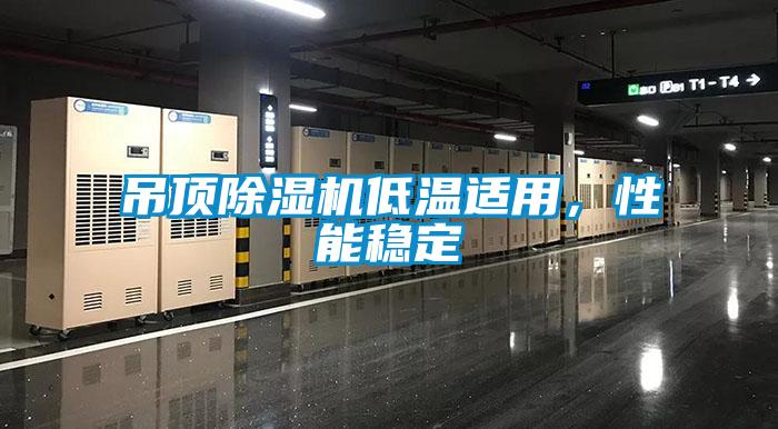 吊頂除濕機(jī)低溫適用,性能穩(wěn)定