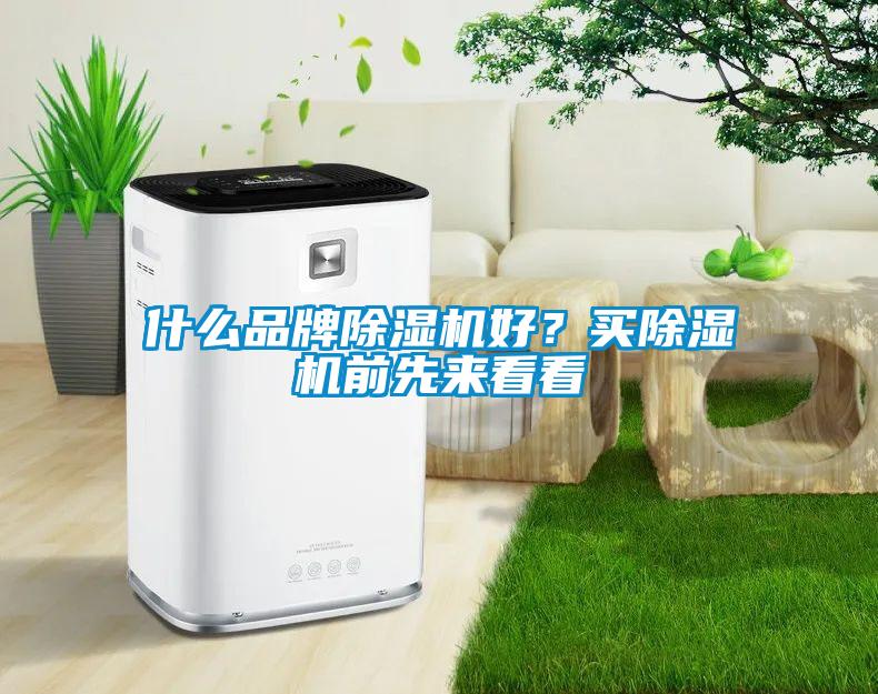 什么品牌除濕機好？買除濕機前先來看看