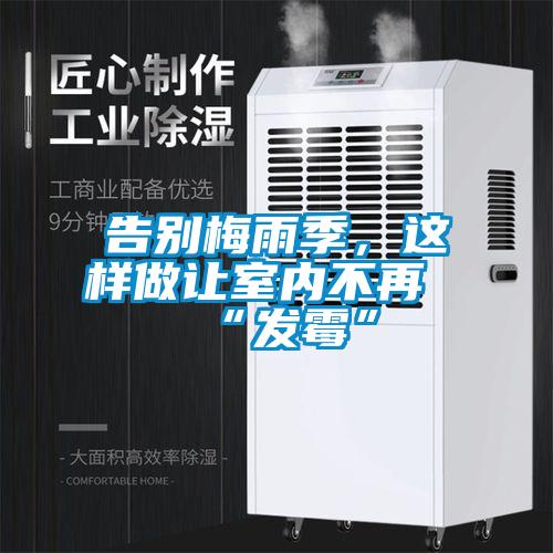 告別梅雨季，這樣做讓室內不再“發霉”