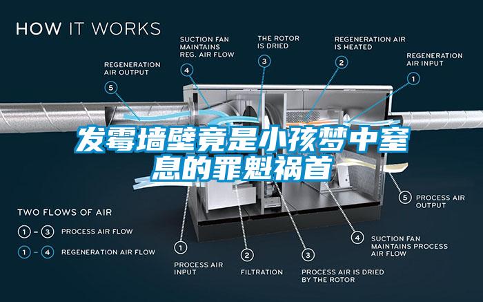 發(fā)霉墻壁竟是小孩夢中窒息的罪魁禍?zhǔn)?></div>
								<div   id=