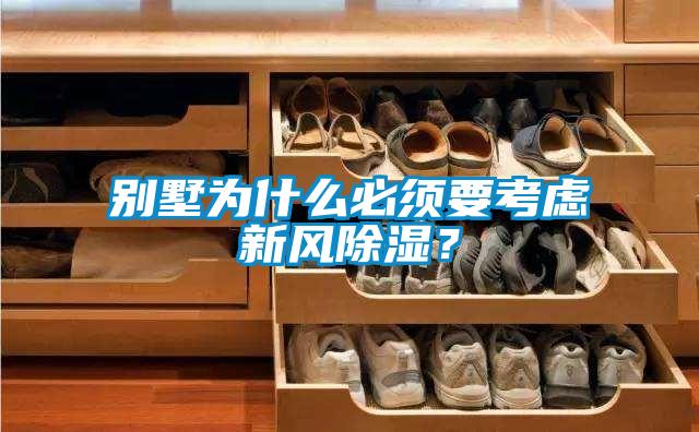 別墅為什么必須要考慮新風除濕？