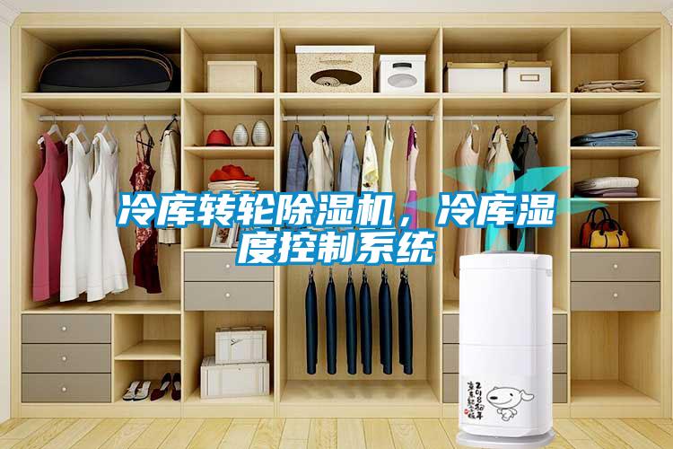 冷庫(kù)轉(zhuǎn)輪除濕機(jī),冷庫(kù)濕度控制系統(tǒng)