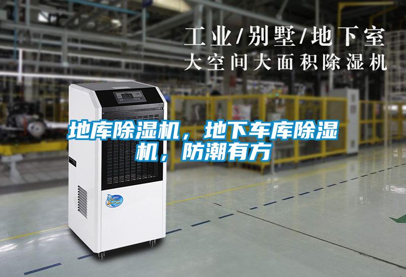 地庫除濕機，地下車庫除濕機，防潮有方