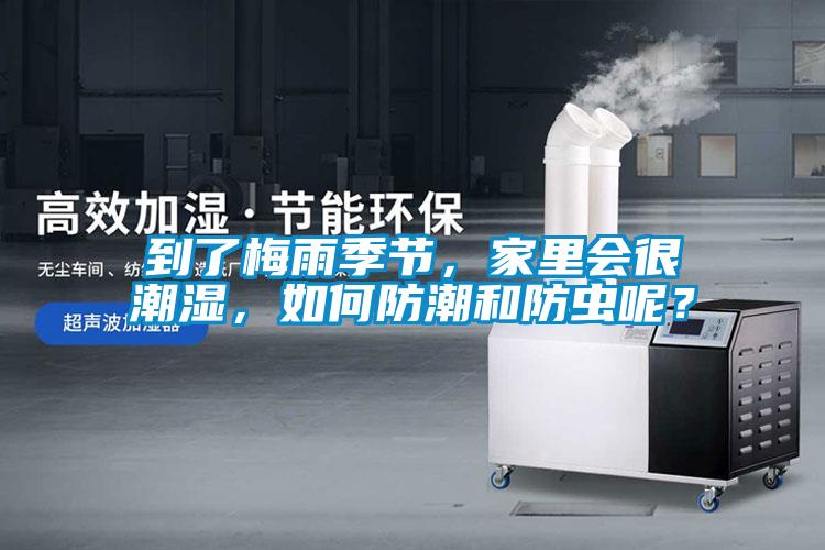 到了梅雨季節，家里會很潮濕，如何防潮和防蟲呢？