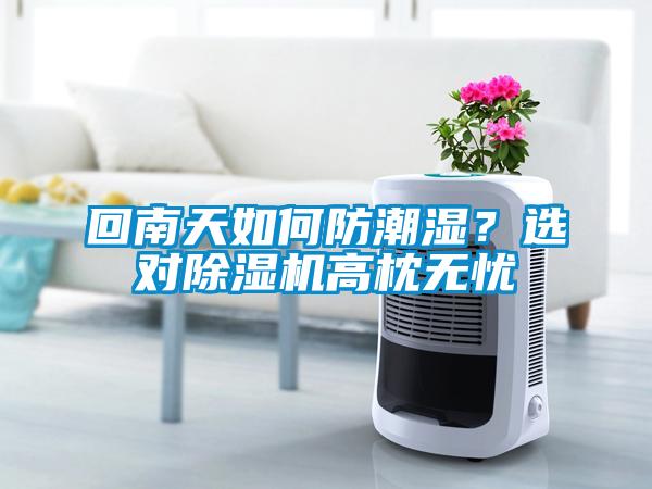 回南天如何防潮濕?選對除濕機高枕無憂