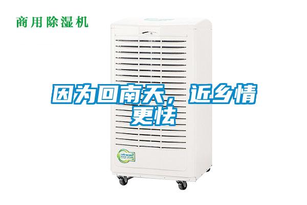 因為回南天,近鄉情更怯