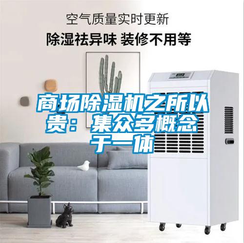 商場(chǎng)除濕機(jī)之所以貴：集眾多概念于一體