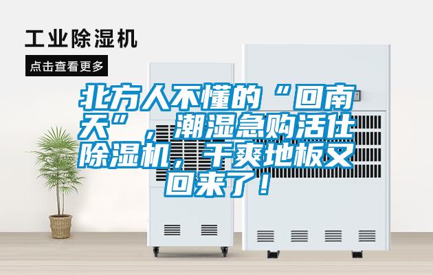 北方人不懂的“回南天”,潮濕急購活仕除濕機,干爽地板又回來了!