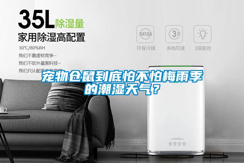 寵物倉(cāng)鼠到底怕不怕梅雨季的潮濕天氣？