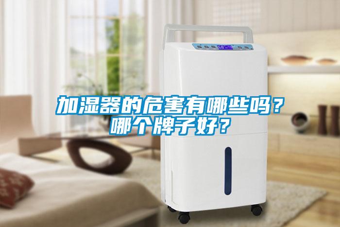 加濕器的危害有哪些嗎？哪個牌子好？
