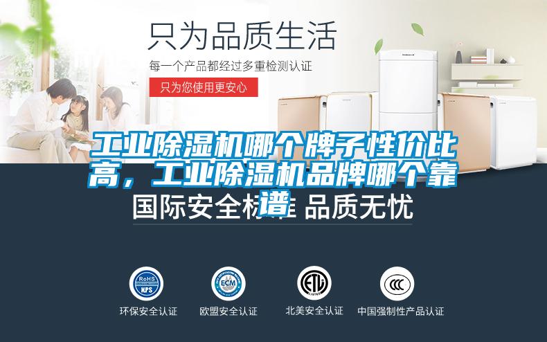 工業(yè)除濕機哪個牌子性價比高，工業(yè)除濕機品牌哪個靠譜