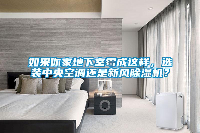 如果你家地下室霉成這樣，選裝中央空調還是新風除濕機？