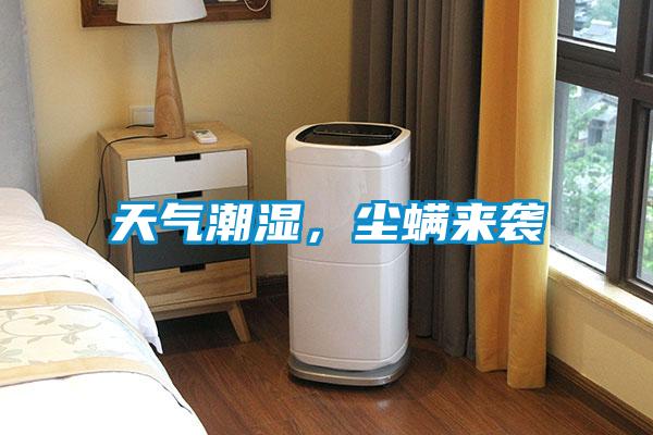 天氣潮濕,塵螨來襲