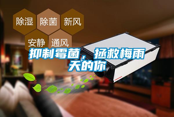抑制霉菌，拯救梅雨天的你