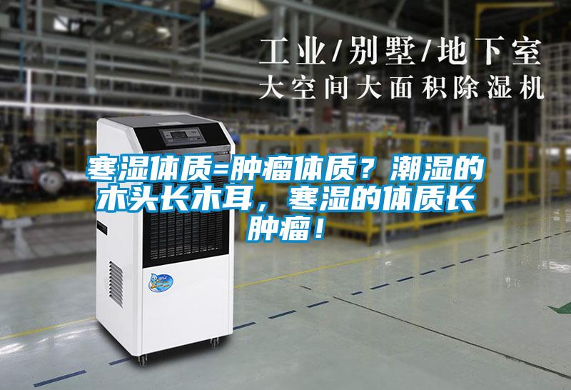 寒濕體質=腫瘤體質？潮濕的木頭長木耳，寒濕的體質長腫瘤！