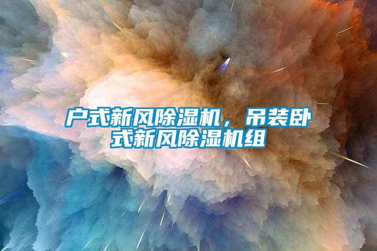 戶式新風(fēng)除濕機(jī)，吊裝臥式新風(fēng)除濕機(jī)組