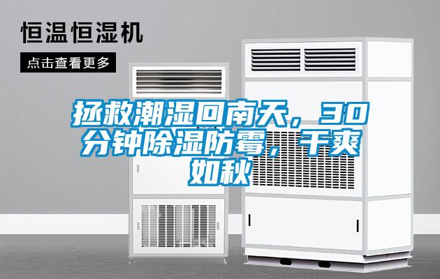 拯救潮濕回南天,30分鐘除濕防霉,干爽如秋