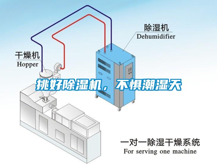 挑好除濕機,不懼潮濕天
