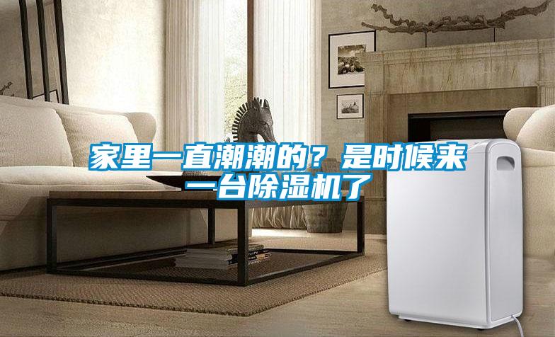 家里一直潮潮的？是時候來一臺除濕機了