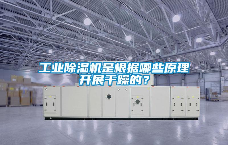 工業(yè)除濕機(jī)是根據(jù)哪些原理開(kāi)展干躁的?