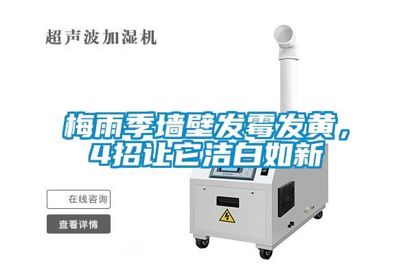 梅雨季墻壁發霉發黃,4招讓它潔白如新