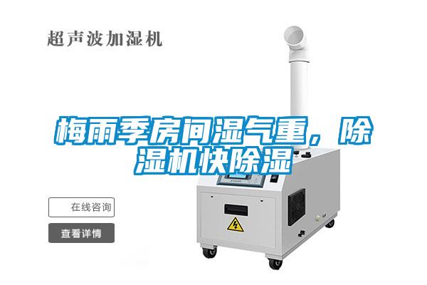 梅雨季房間濕氣重，除濕機快除濕