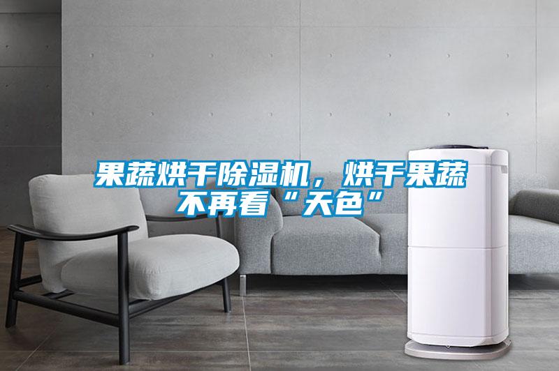 果蔬烘干除濕機,烘干果蔬不再看“天色”