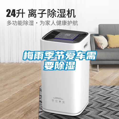 濕氣太重,大不如前!安詩曼除濕機還你健康好身體!