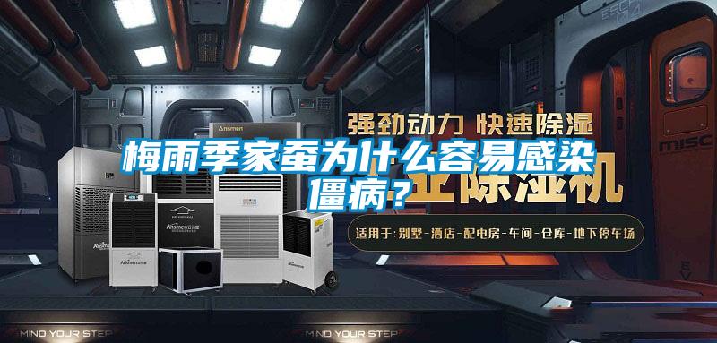 梅雨季家蠶為什么容易感染僵?。?/></p>
						    <p style=