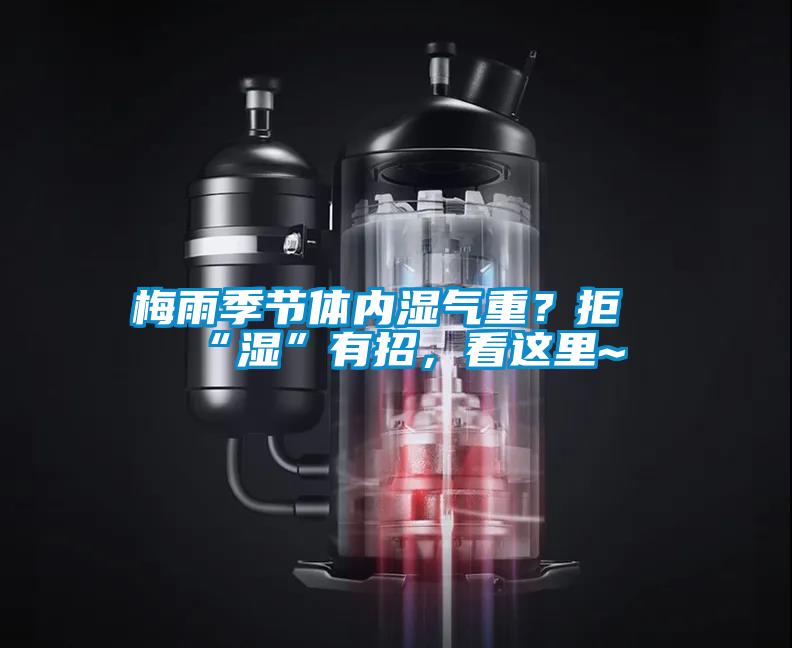 梅雨季節(jié)體內(nèi)濕氣重？拒“濕”有招，看這里~