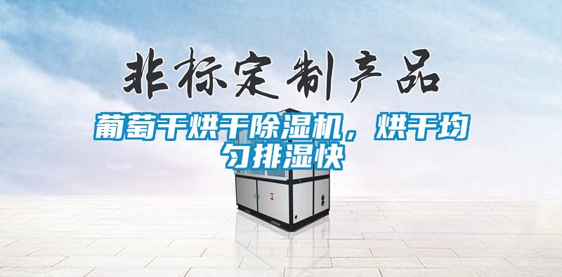葡萄干烘干除濕機，烘干均勻排濕快