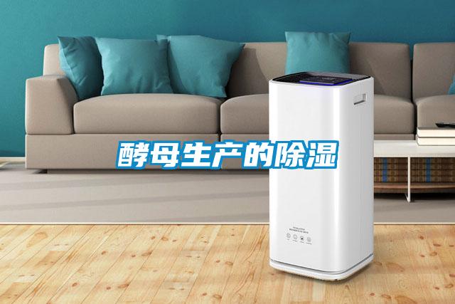 酵母生產的除濕
