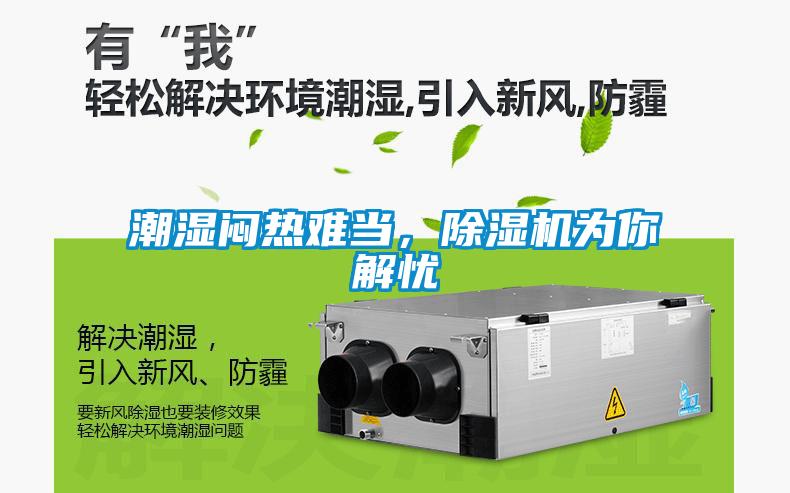 潮濕悶熱難當,除濕機為你解憂