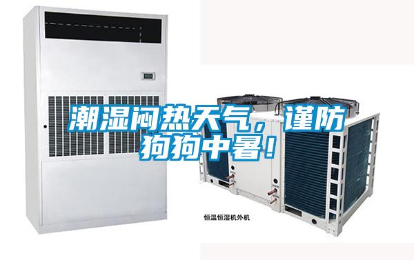 潮濕悶熱天氣,謹防狗狗中暑!