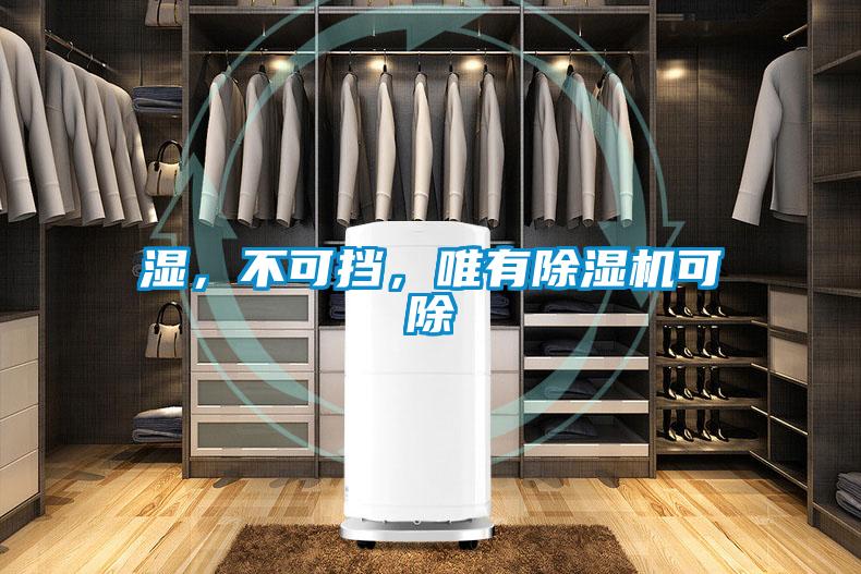 濕，不可擋，唯有除濕機可除