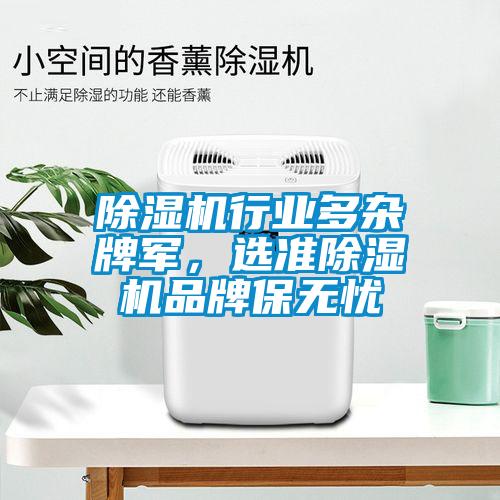 除濕機(jī)行業(yè)多雜牌軍,選準(zhǔn)除濕機(jī)品牌保無憂