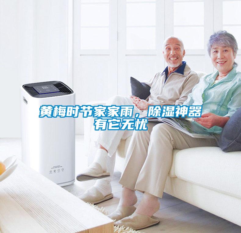 黃梅時(shí)節(jié)家家雨，除濕神器有它無憂