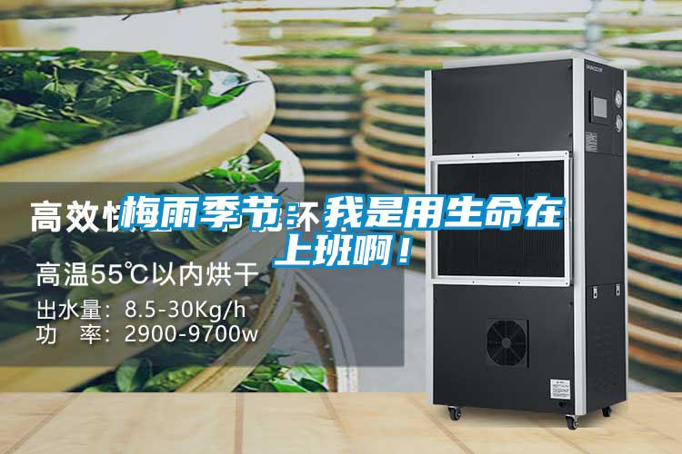 梅雨季節：我是用生命在上班啊！