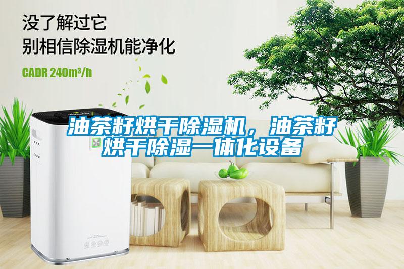油茶籽烘干除濕機(jī),油茶籽烘干除濕一體化設(shè)備