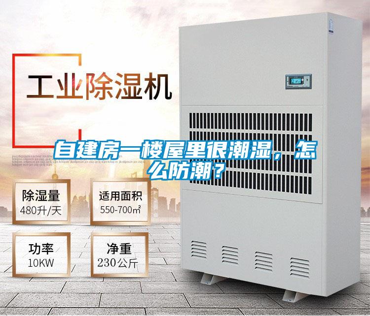 自建房一樓屋里很潮濕,怎么防潮?