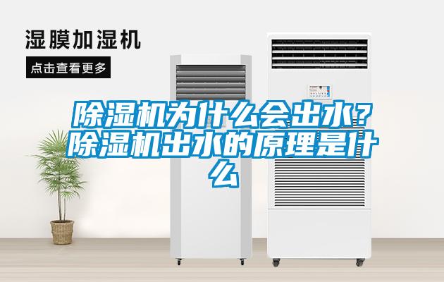 除濕機為什么會出水？除濕機出水的原理是什么