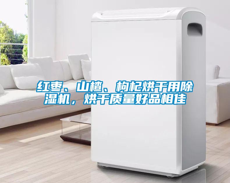 紅棗、山楂、枸杞烘干用除濕機(jī),烘干質(zhì)量好品相佳