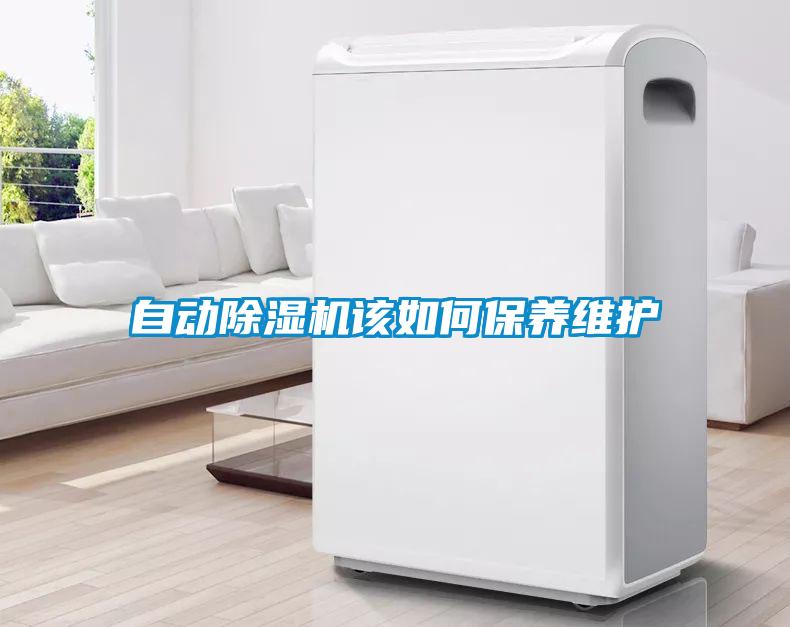 自動除濕機該如何保養維護